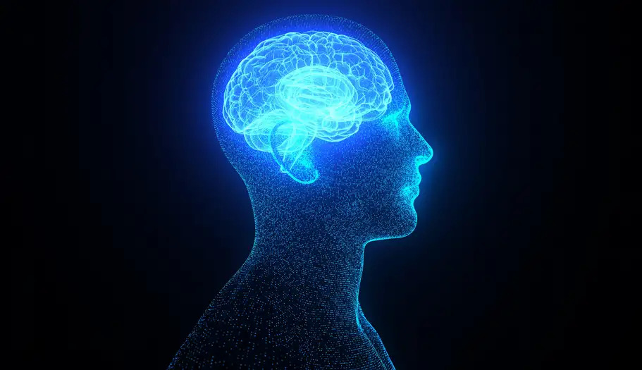 66049049_1004(1) 66049049_1004(1)