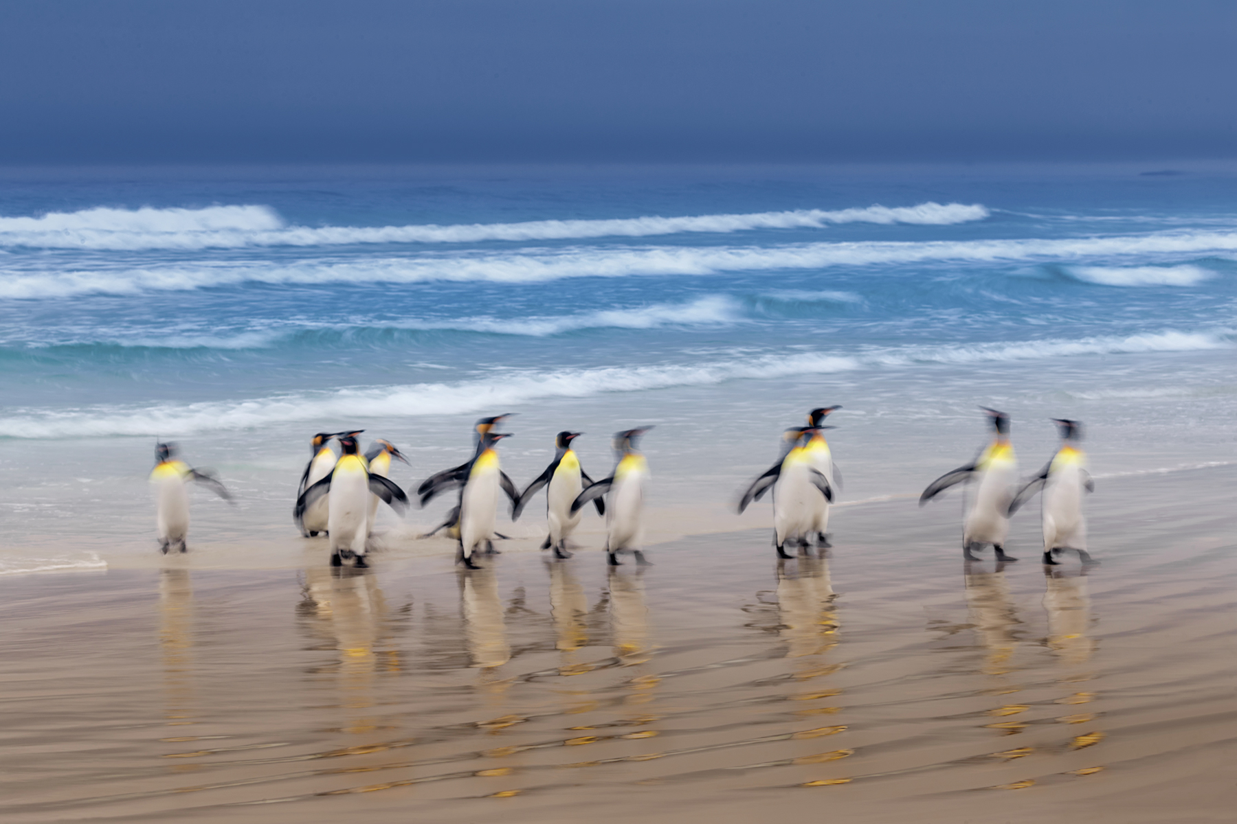 _LVL1227web _LVL1227web