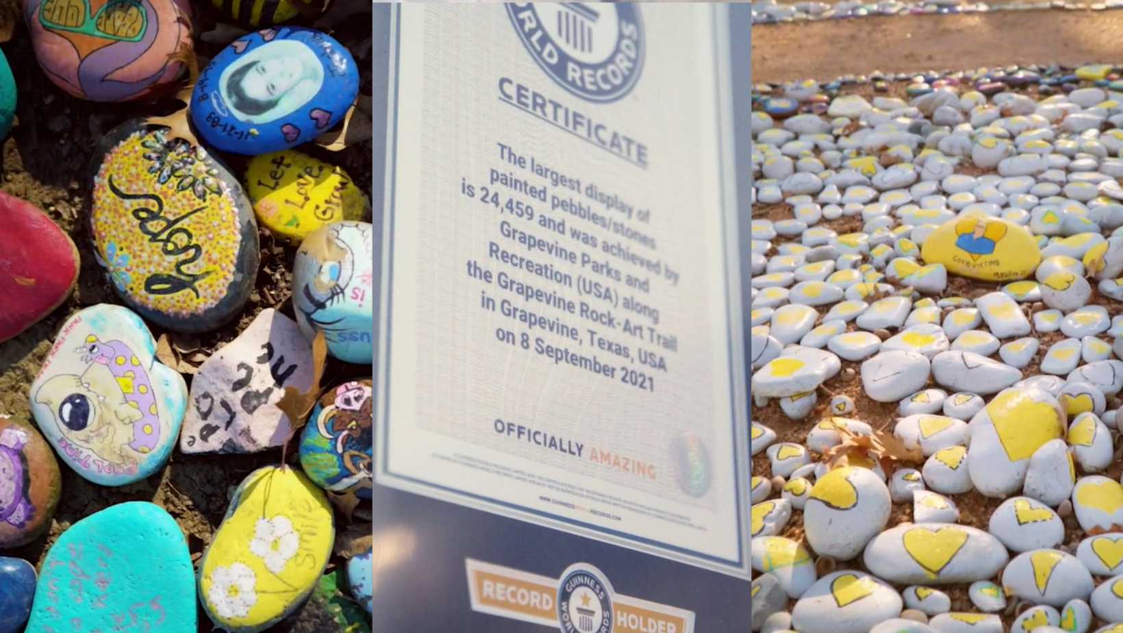 _portada bioguia (4) _portada bioguia (4)