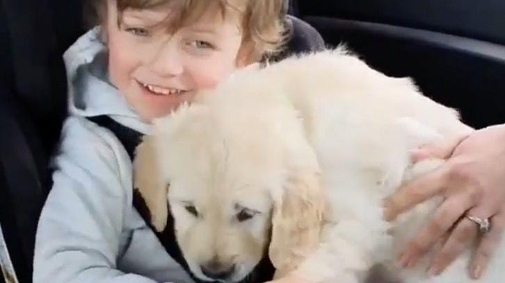 niño cachorro niño cachorro