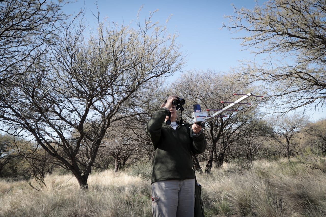 SEGUIMIENTO 3 SEGUIMIENTO 3