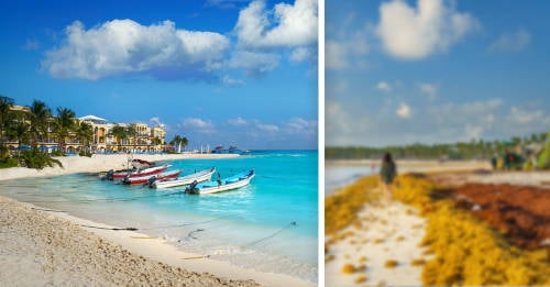 playa del carmen paraiso mexicano en peligro