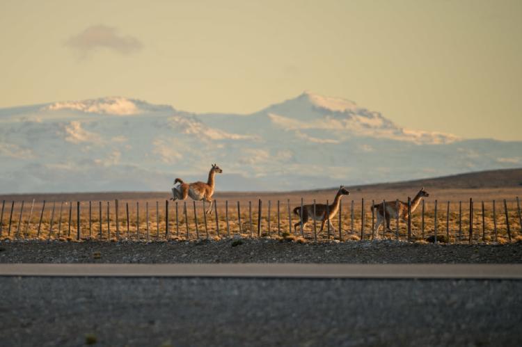 photo_2022-06-09_14-00-32 photo_2022-06-09_14-00-32.jpg