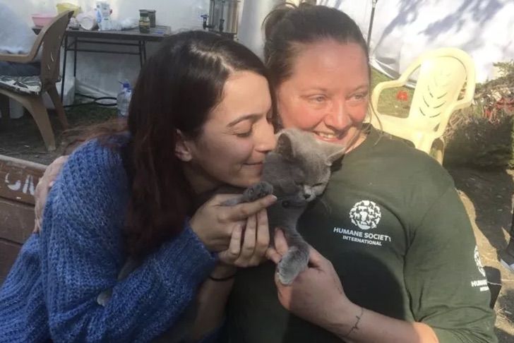 gatita turquia2 gatita turquia2