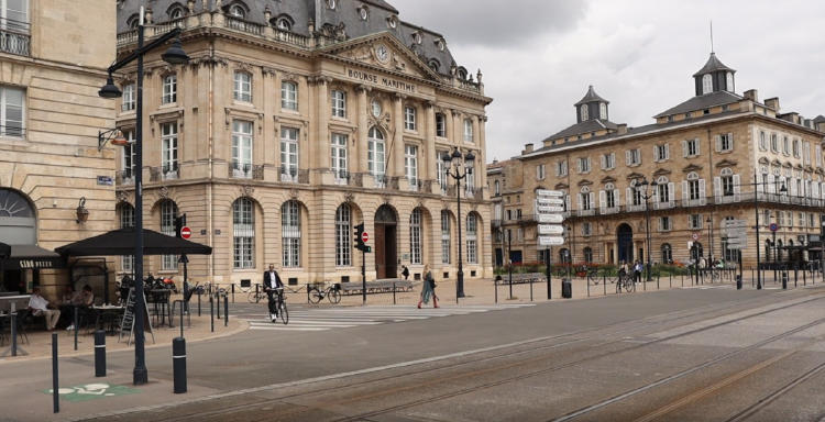 burdeos pexels burdeos pexels