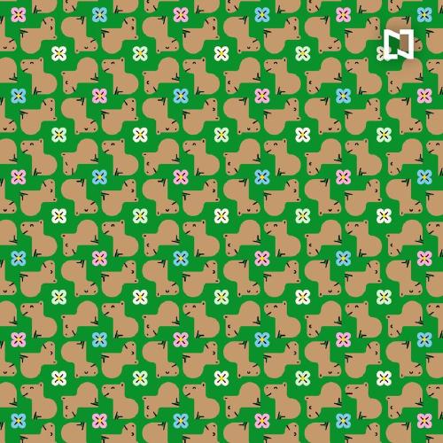 Reto visual Reto visual