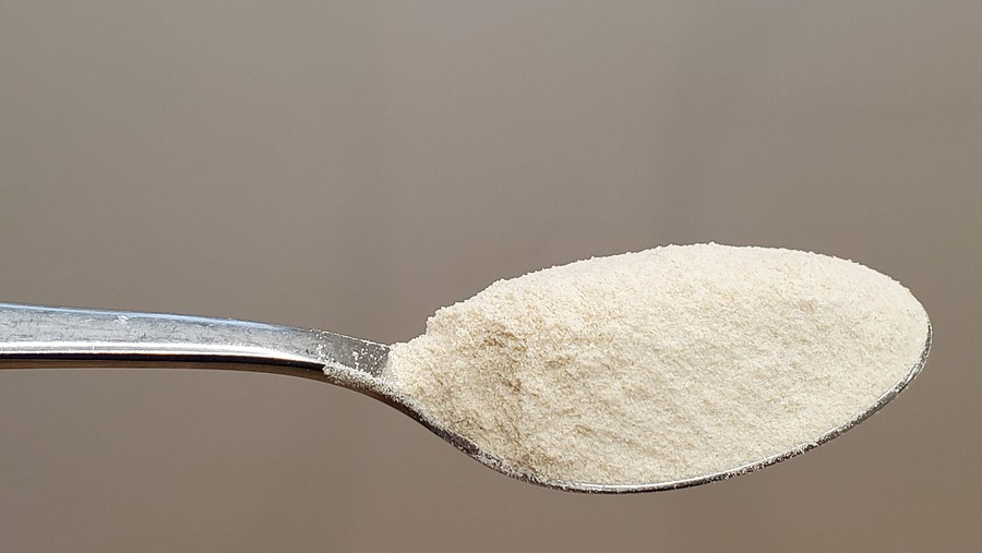 Psyllium en polvo Psyllium Husk en polvo