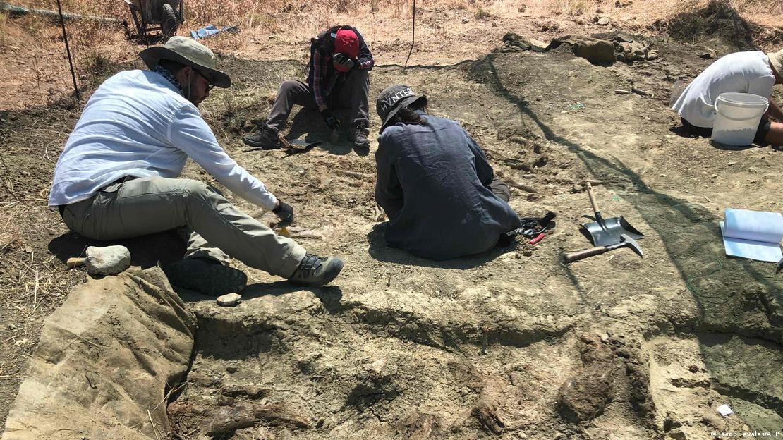 66358568_906 66358568_906