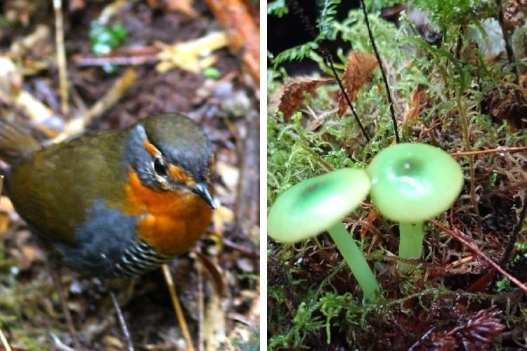 Reserva Fundo chenue Reserva Fundo chenue