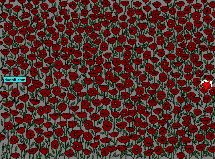 Solucion acertijo Solucion acertijo