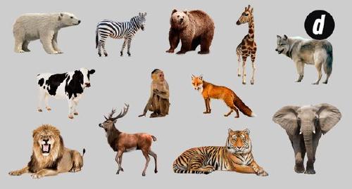 Reto visual Reto visual