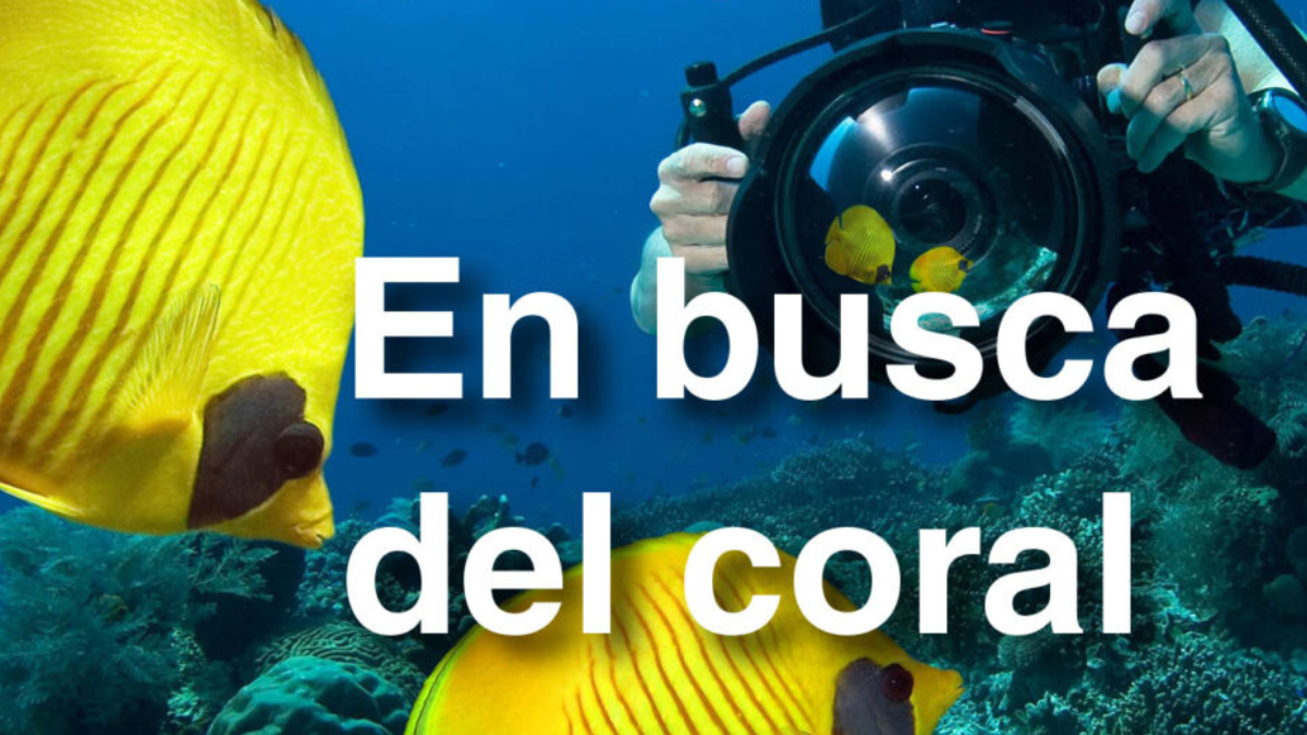 Según la sinopsis, un equipo compuesto por buceadores, fotógrafos y científicos se embarca en una misión para documentar la transformación de los arrecifes de coral debido al cambio climático.