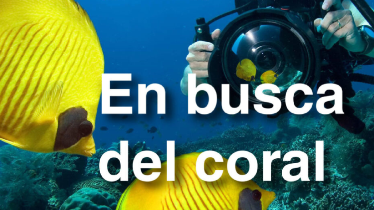 en busca del coral Según la sinopsis, un equipo compuesto por buceadores, fotógrafos y científicos se embarca en una misión para documentar la transformación de los arrecifes de coral debido al cambio climático.