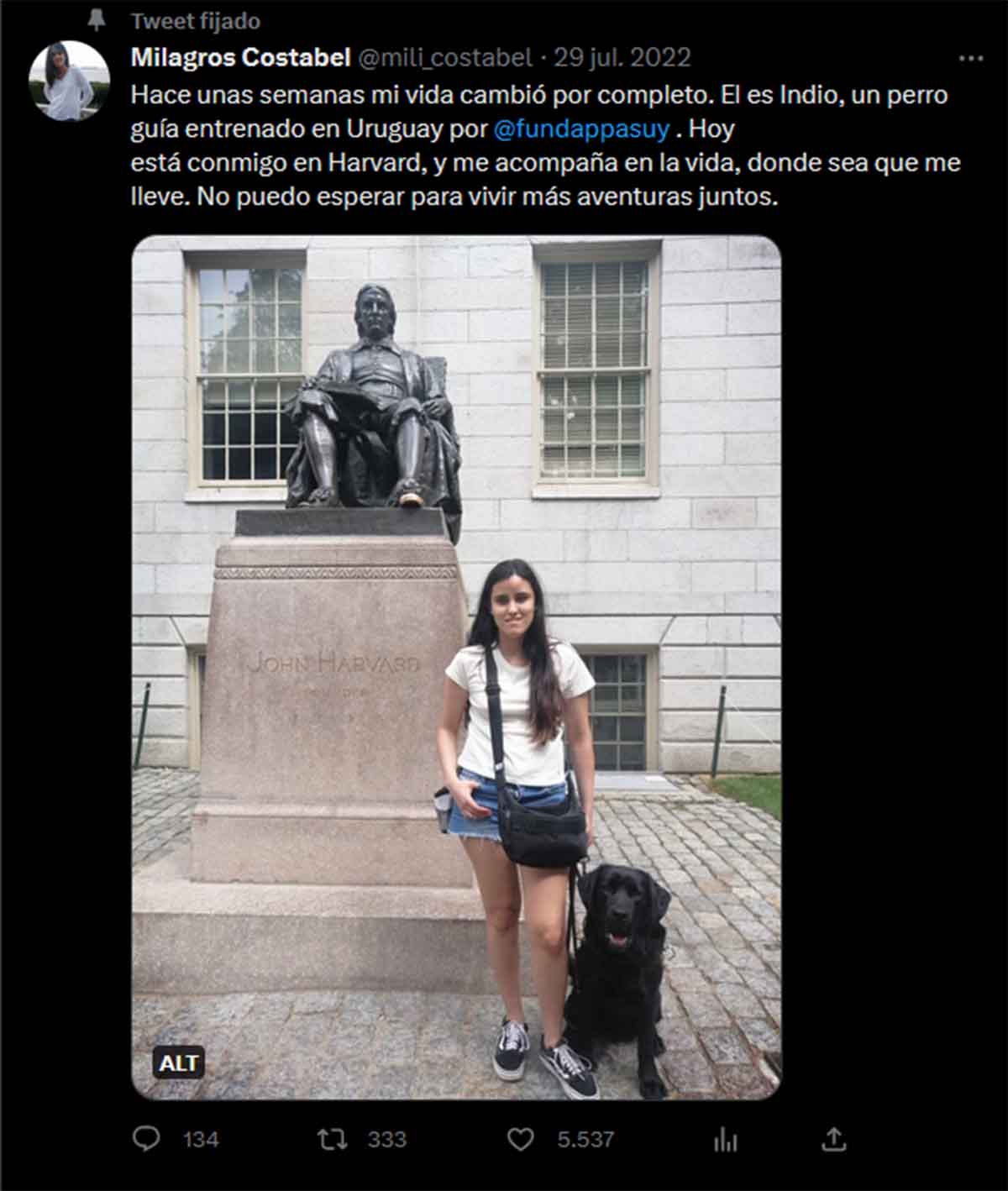 joven perro2 joven perro2