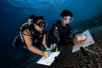 Dos buzos científicos explorando el fondo del mar