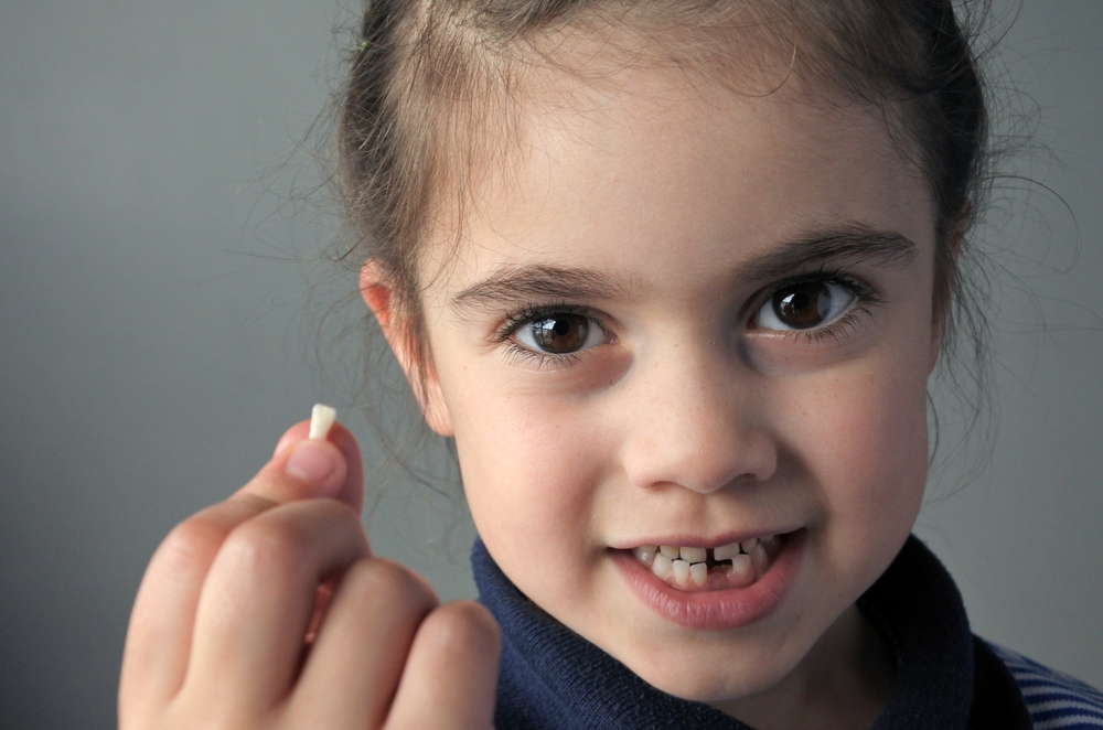 Por Qué Los Médicos Alientan A Los Padres A Guardar Los Dientes De ...