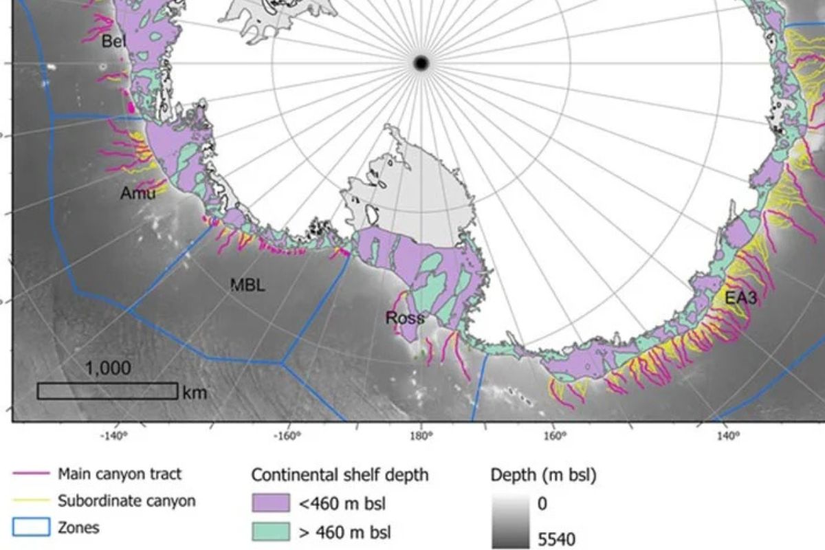 Un nuevo catálogo de alta resolución identifica 332 redes de cañones submarinos en el lecho marino del continente antártico. Crédito: Universidad de Barcelona