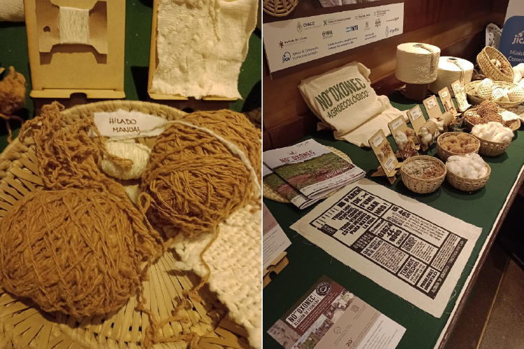 Collage portadas notas(9) Collage portadas notas(9)