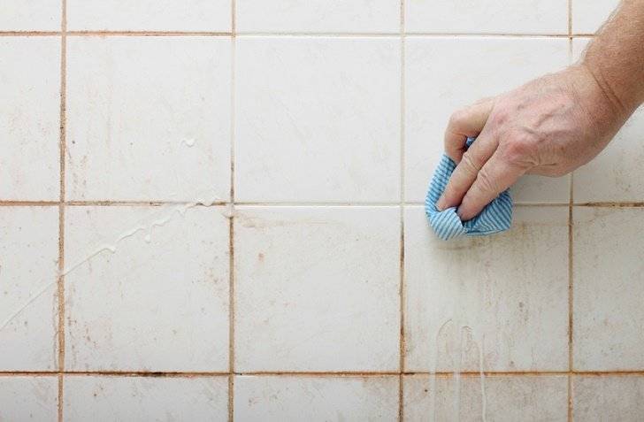 Como Quitar Hongos De Cortinas Techos Y Paredes Del Bano Bioguia