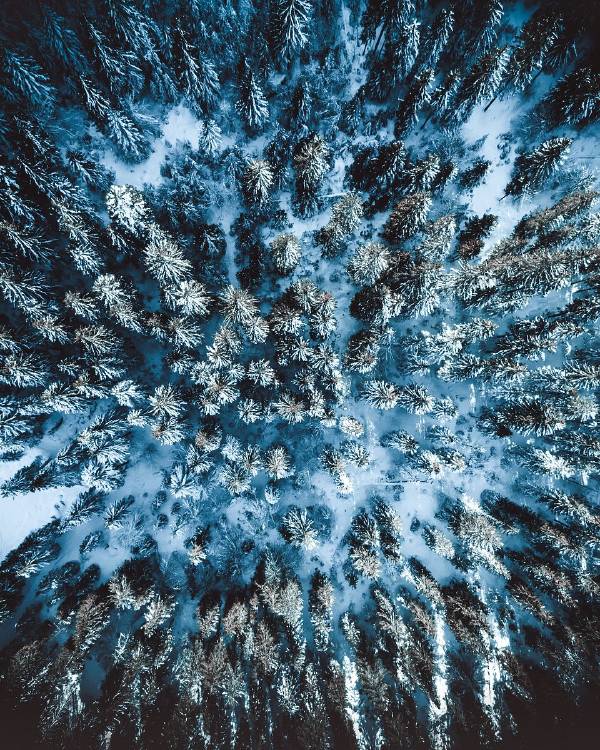 Agora 5 soldados del invierno @pherrography Suiza Agora 5 soldados del invierno @pherrography Suiza