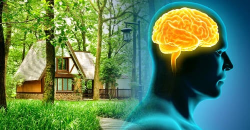Estos son los beneficios de vivir cerca de un bosque