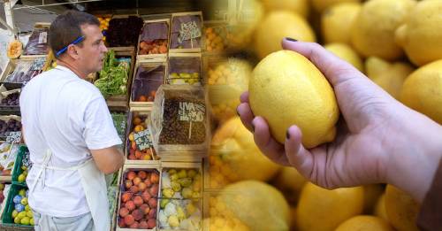 Las Ferias de la Ciudad se llenan de productos de estación