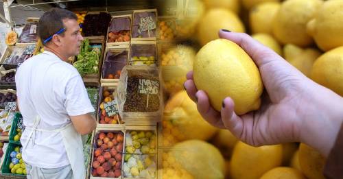 ferias ciudad llenan productos