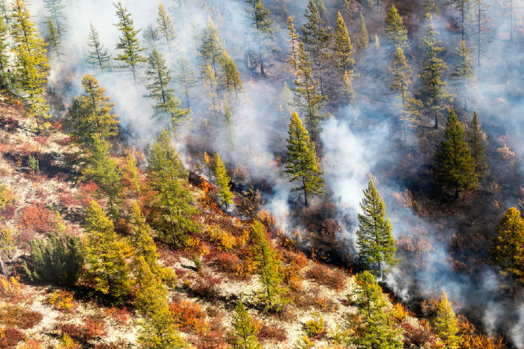 incendio siberia