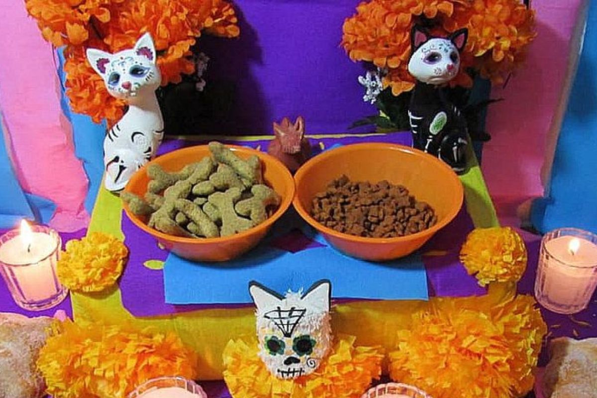 Altar gatos