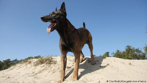 64357874 401 64357874 401