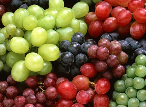 uvas 2.jpg uvas 2.jpg