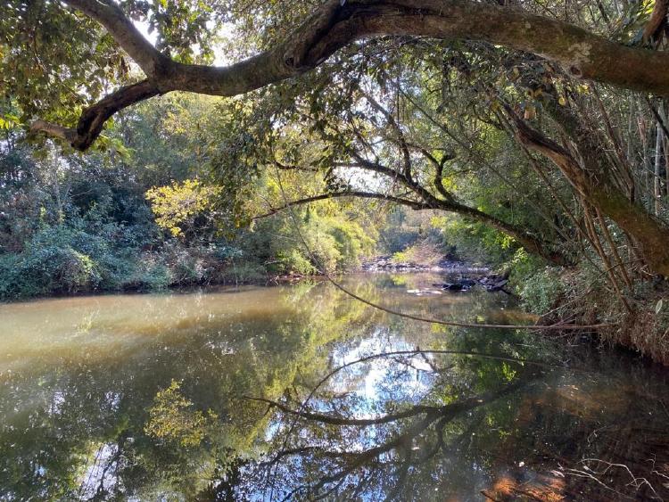 unnamed (1) unnamed (1)