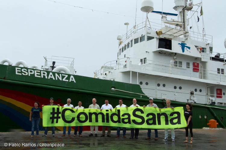 GP0STPDGG_Web_size_with_credit_line GP0STPDGG_Web_size_with_credit_line