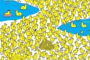 desafío visual Complejo desafío visual en 1 minuto