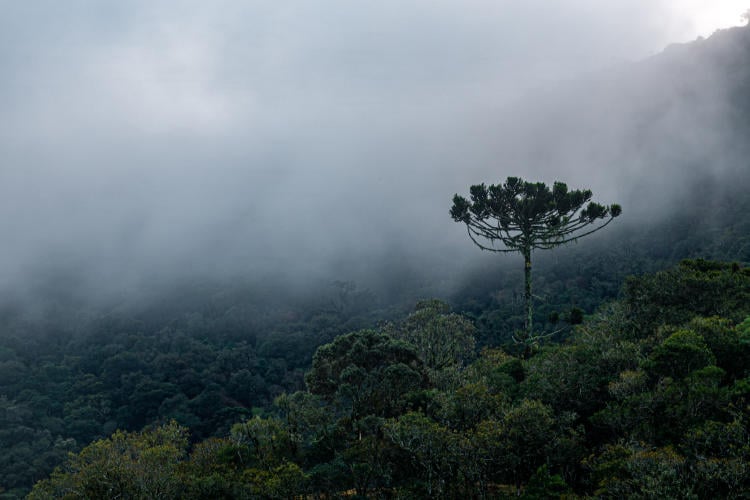 shutterstock 1816959194 shutterstock 1816959194