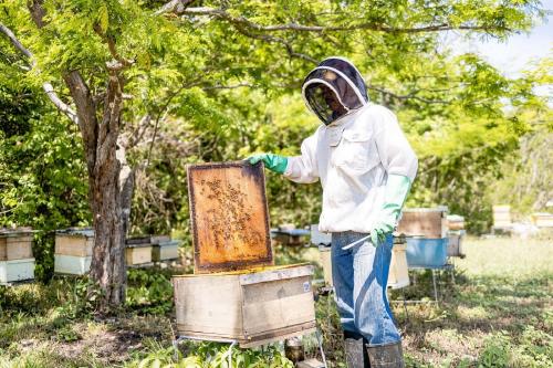 Westin Reserva Conchal W Costa Rica Westin Reserva Conchal W Costa Rica