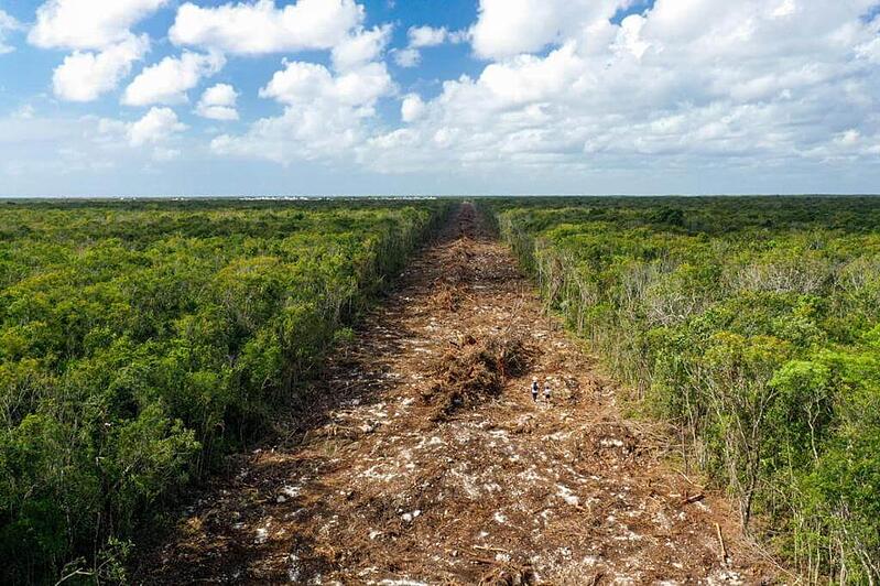 tren maya deforestación selva