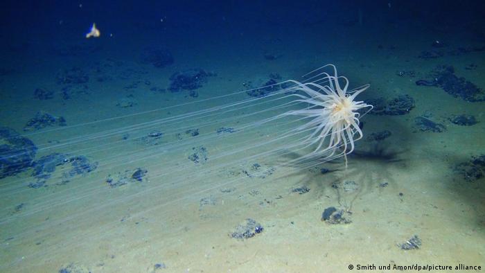 65775228_303 65775228_303