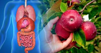 alimentos-cada-vez-menos-nutritivos