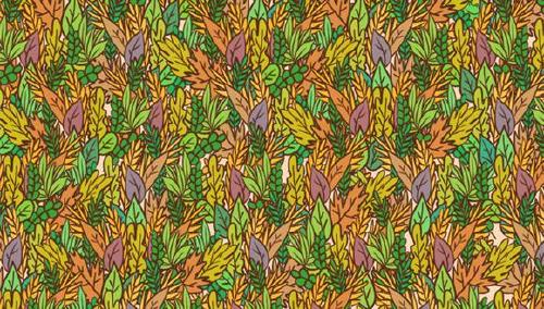 acertijo sapo acertijo sapo