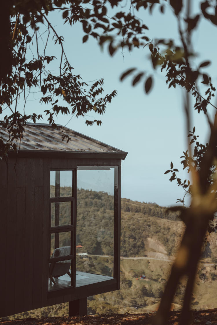 Naturaleza Monteverde amalu monteverde