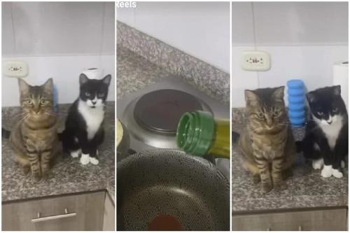 P3NWMKJW35CWVAQFDFWILBXT3I P3NWMKJW35CWVAQFDFWILBXT3I