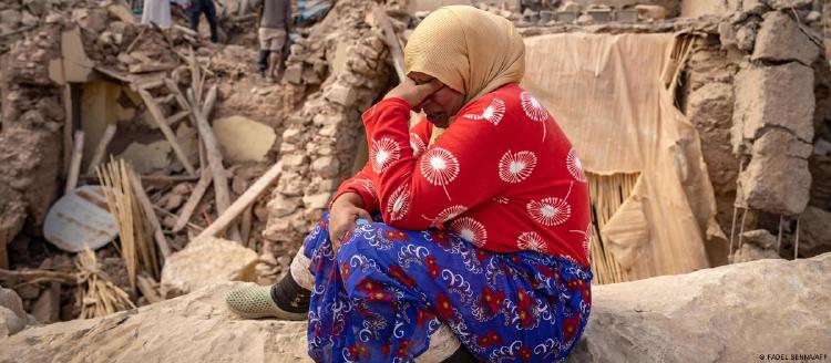 66774413_1004 66774413_1004