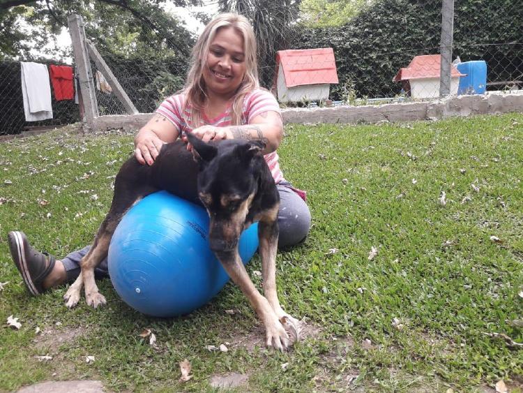 APRANI, Asociación Protectora de Animales sin fines de lucro APRANI, Asociación Protectora de Animales sin fines de lucro