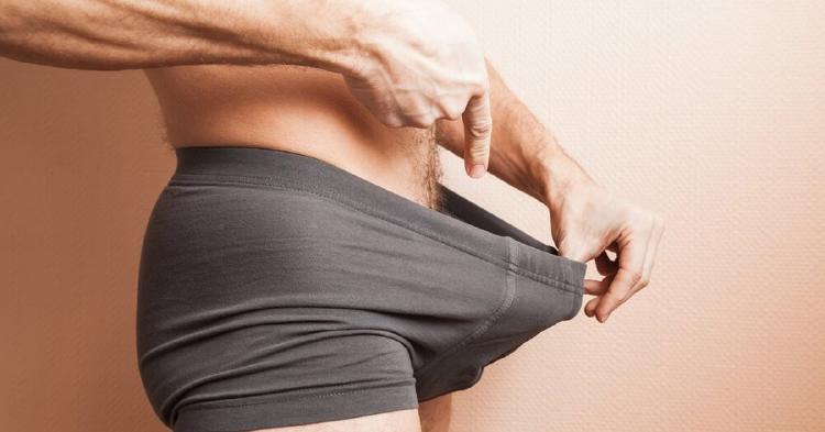 glándula de Cowper glándula de Cowper