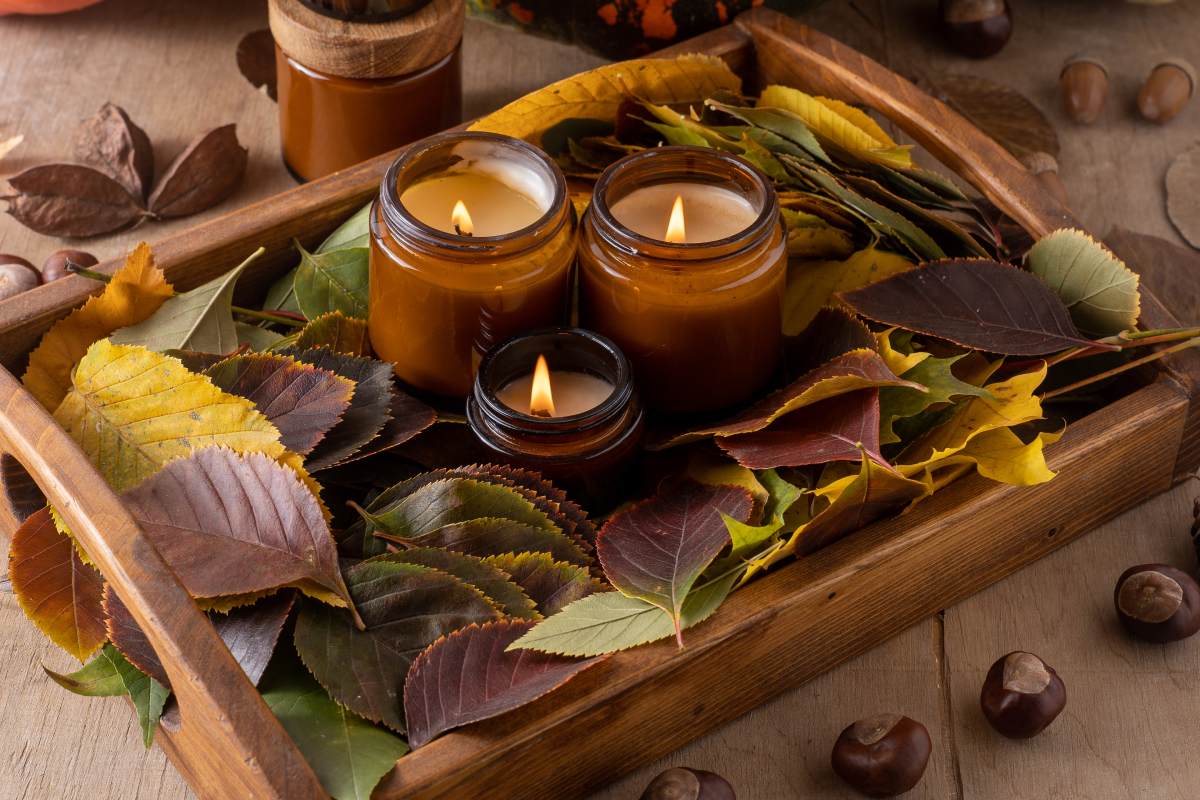 Velas de soja Velas de soja