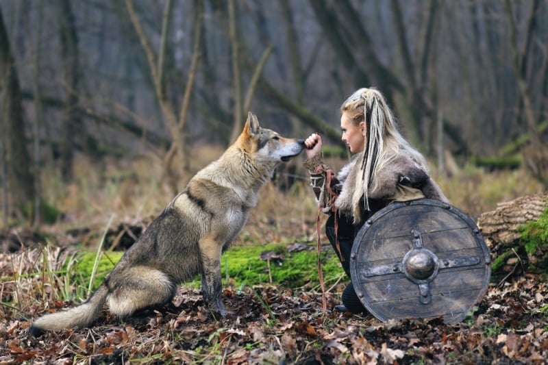 7 frases del libro “las mujeres que corren con los lobos” para sanar  heridas emocionales | Bioguia