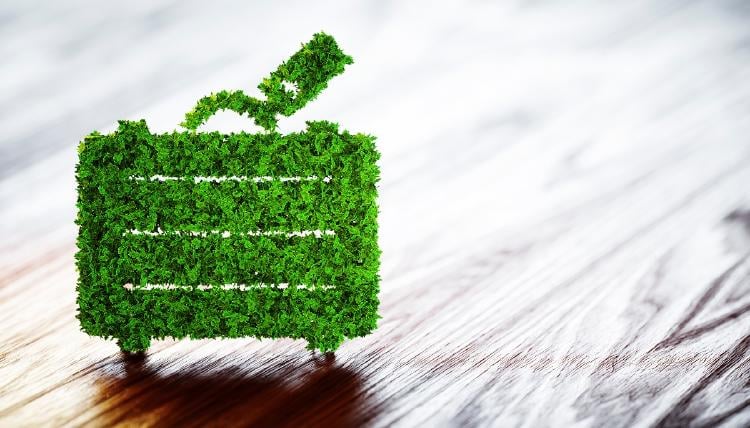 Ecoturismo Ecoturismo