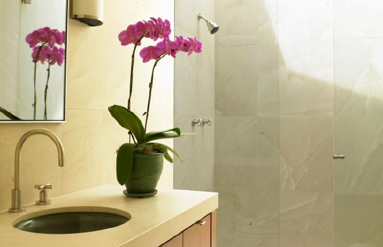 orquídea en el baño Feng Shui: qué es, para qué sirve y cómo aplicarlo en tu hogar