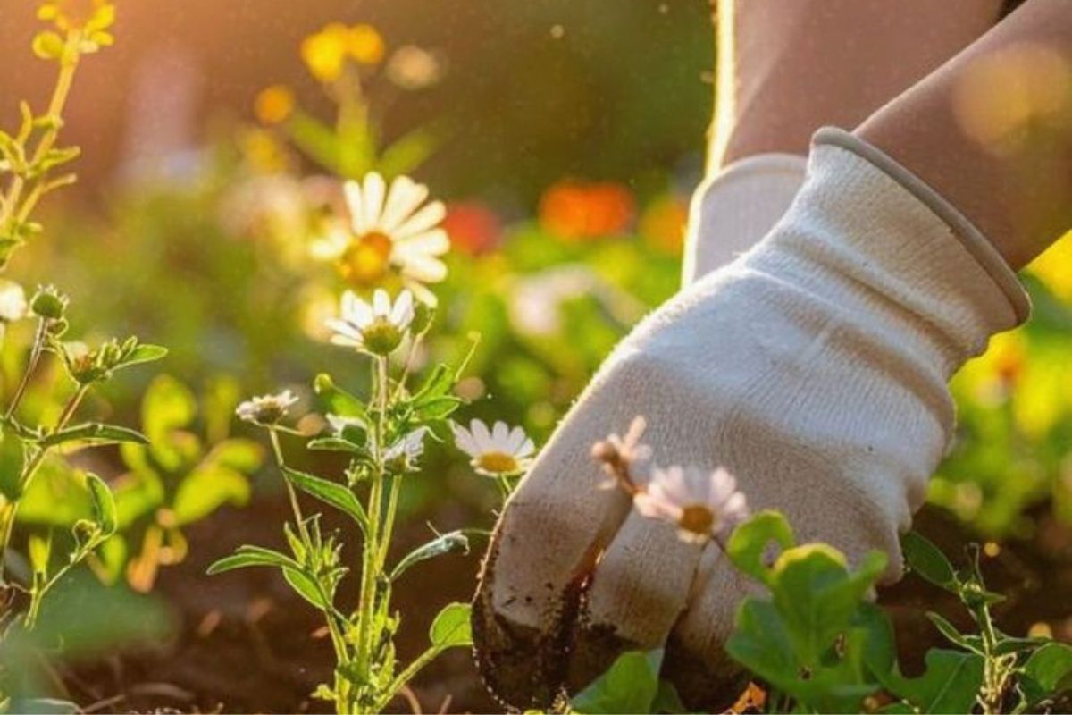 Dependiendo de la actividad, una hora de trabajo en el jardín puede quemar entre 120 y 600 calorías. (Foto: Pinterest)